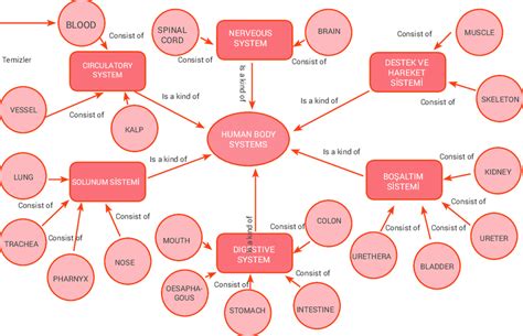 A Sample Concept Map 7 Grades Science And Technology The Systems Of