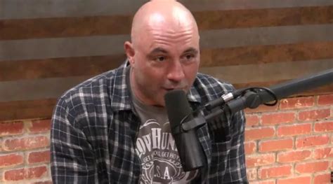 20 Great Podcast Interviews On The Joe Rogan Experience Prior To 2020