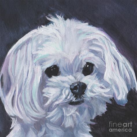 Maltese Painting By Lee Ann Shepard Fine Art America