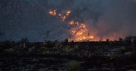 Official Organ Fire Has Burned 1200 Acres Containment At 10 Percent