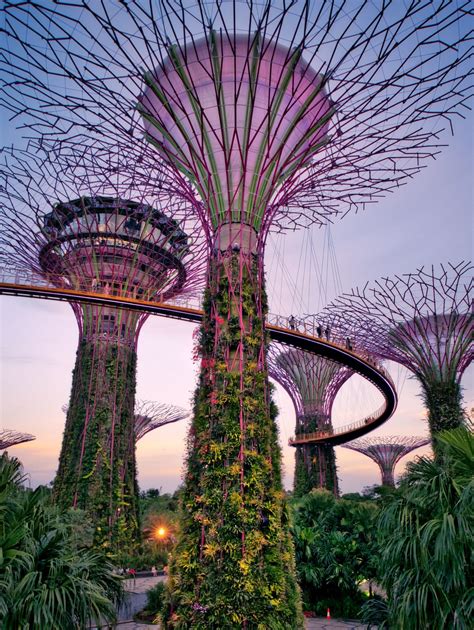 Singapore Supertrees Singapore Garden Singapore Gardens By The Bay