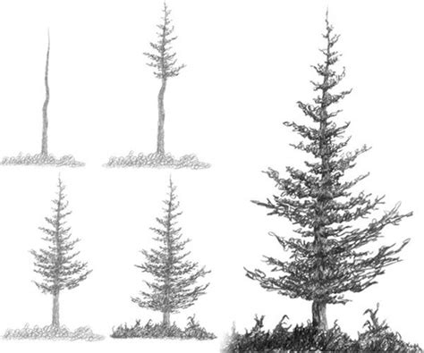Learn how to draw step by step in a fun way!come join and follow us to learn how to draw. Pin on Art