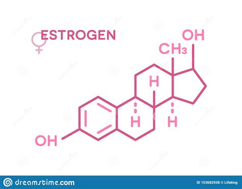Estrogen Hormones Molecular Formula Sex Hormone Symbol Stock Vector
