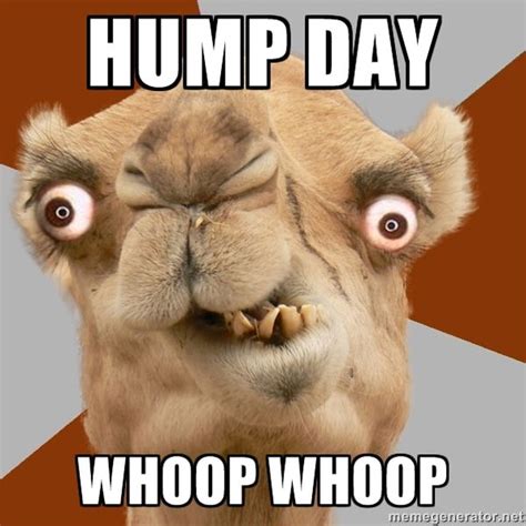 26 Top Happy Hump Day Meme Images And Pictures QuotesBae