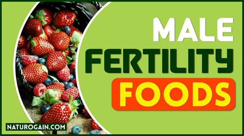 top 10 foods that make sperm healthy and increase semen volume youtube