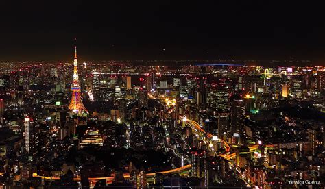 Beautiful Tokyo At Night Japan Tokyo Night Falling Back In Love