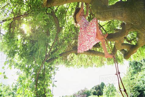 Girl In Sun Dress Climbing Tree Stock Photo Dissolve