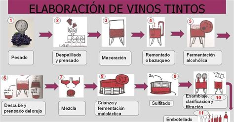 Cata De Vinos Y Maridajes Elaboración De Vinos Tintos