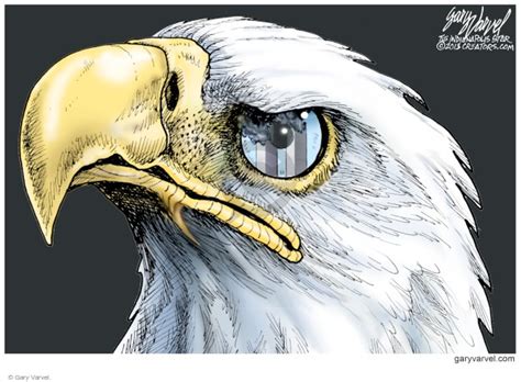 The American Bald Eagle Editorial Cartoons The Editorial