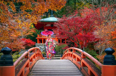 Best Time To Visit Kyoto, Japan For A Holiday! | Tripfez Blog