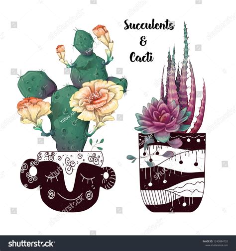 Card With Cactuses And Succulents Set Plants Of Desertsucculents