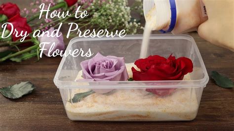 This tutorial is going to show you how to resin flowers in a bezel pendant with a colorful background accent. How to Dry and Preserve Flowers| DIY Dried Flower in Resin ...