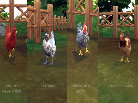 The Sims Resource Crucibles Chicken Breeds Pack 1