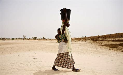 Niger Drought Does Not Mean Death Of Pastoralism