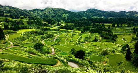 Hoshitoge Rice Terrace Gaijinpot Travel