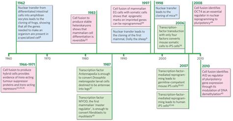 History And The Importance Of Cloning
