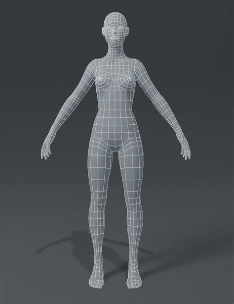 Artstation Human Body Base Mesh 10 3d Models Pack Game Assets