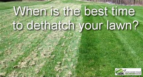 This is done with a rake that has curved blades, and there are also a few things to add to your lawn. When Is the Best Time to Dethatch Your Lawn - How Does Your Garden Mow
