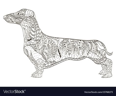 Dachshund Coloring Book For Adults Royalty Free Vector Image