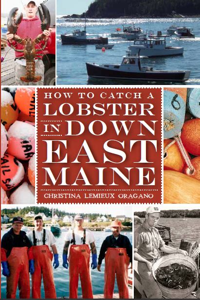 How To Catch A Lobster In Down East Maine Maine Ly Lobster