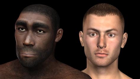 Understanding Human Evolution Neanderthal Dna Contributes To Genetic