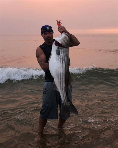 Surfland Bait And Tackle Plum Island Fishing Weekend Report