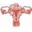 Symptoms Of An Enlarged Uterus  LoveToKnow