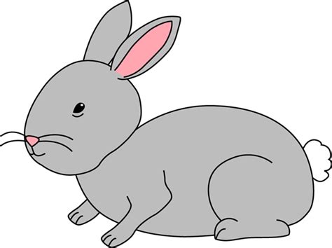 Gray Bunny Rabbit Clip Art Gray Bunny Rabbit Image