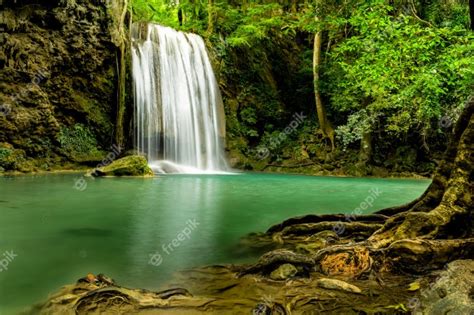 Premium Photo Beautiful Waterfall In Green Forest