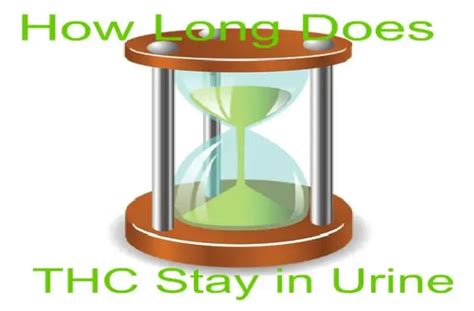 How Long Does Weed Thc Stay In Your Urine Everything You Need To Know