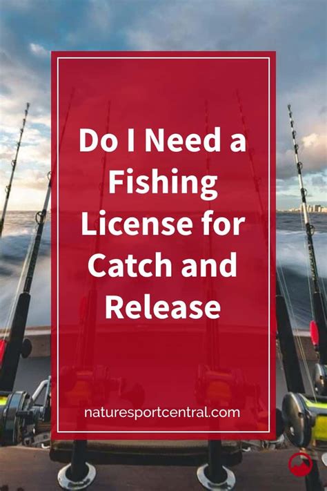 When do i need a business license. Do I Need a Fishing License for Catch and Release?