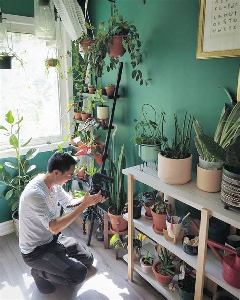 Darryl Cheng On Instagram New Video Up On My Channel Houseplant Tour