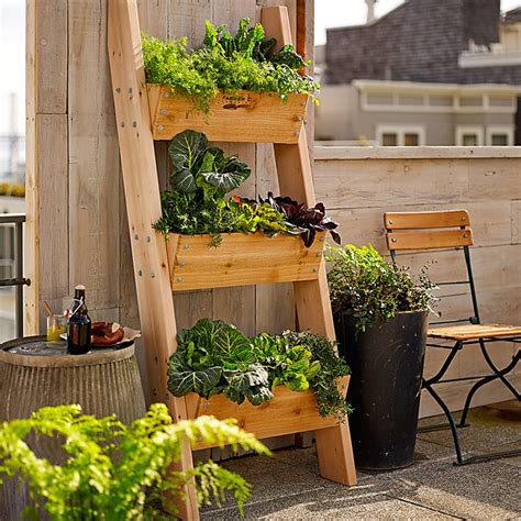 Vertical Goodness 10 Diy Living Walls Kits For Green Living Decoist
