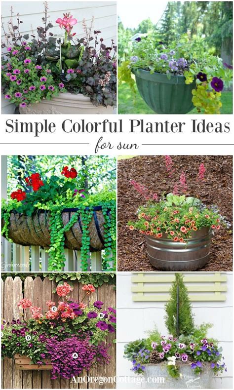 Simple Colorful Planter Ideas For Sun Gardening Viral