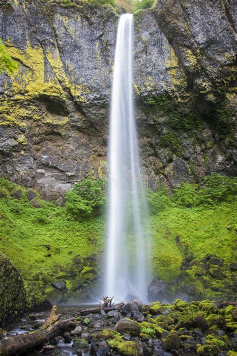 Elowah Falls Columbia Gorge Oregon Stock Image Image Of Scenery