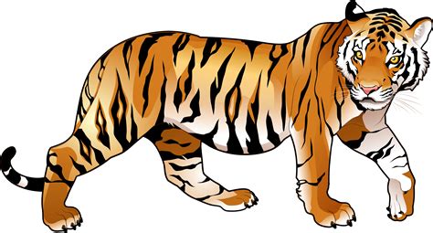 Bengal Tiger Clipart At Getdrawings Free Download