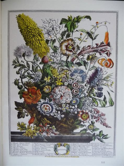 One for the reference image and a blank section for your drawing. December Flowers Art Print- Furber 12 Months of Flowers ...