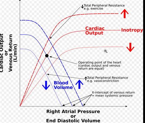 How Can I Take Blood Pressure Into The Cardiac Output Formula