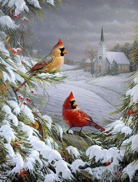 Cardinals Christmas Bird Christmas Scenes Vintage Christmas Cards
