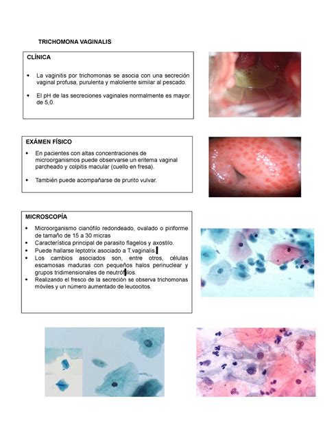 Deber Clinica Examne Fisico TRICHOMONA VAGINALIS CLÍNICA La