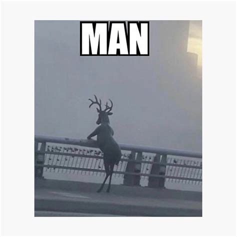 Disappointed Man Deer Meme Photographic Print By Mrspooder Redbubble