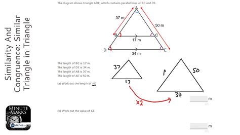 Similarity And Congruence Similar Triangle In Triangle Grade 5