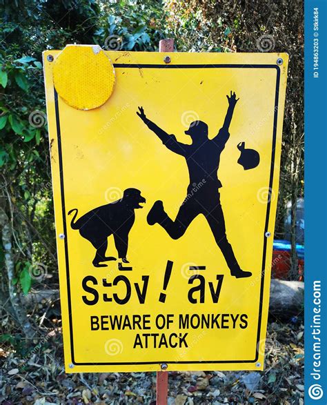 Dangerous Monkey Sign Stock Image Image Of Warning 194863203
