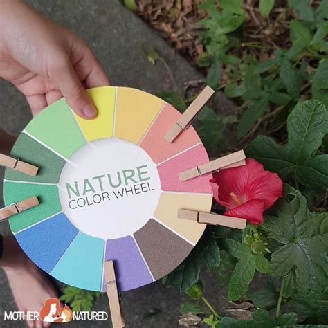 Nature Colour Wheel Colour Wheel Natural Color Natural Materials