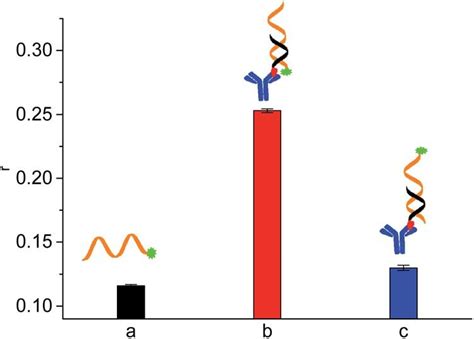 Fa Responses Of Fam Labeled Aptamer Probe And Different Duplex Designs