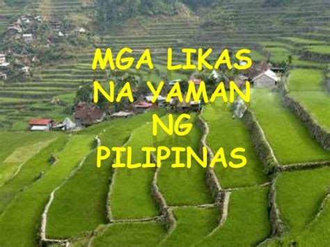 Pangunahing Likas Na Yaman Ng Pilipinas Mobile Legends