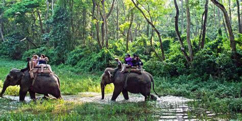 Chitwan Jungle Safari Tour Epic Adventures