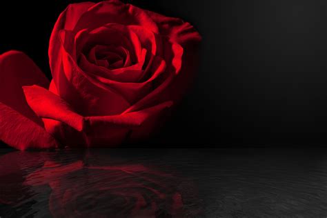 Remembering Gloria "Lavon" Ward | Obituaries | Maryville Memorial