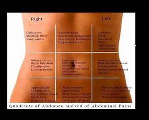 Abdominal Abdominal Is That You Feel Anywhere Between