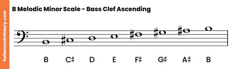 B Minor Scale Natural Harmonic And Melodic